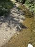 Jamison Creek