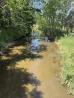 Orange Creek